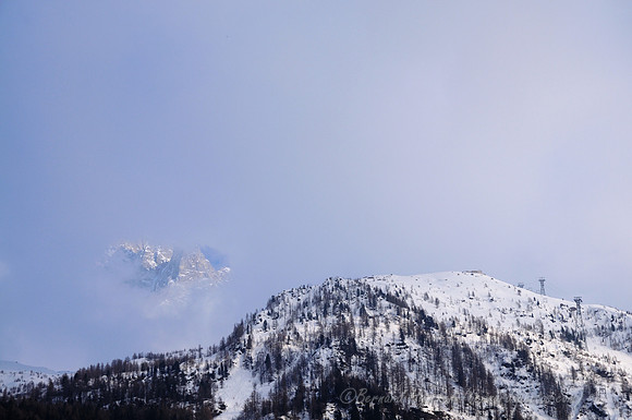 D300_84507