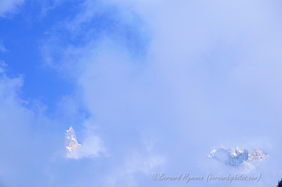 D300_84509