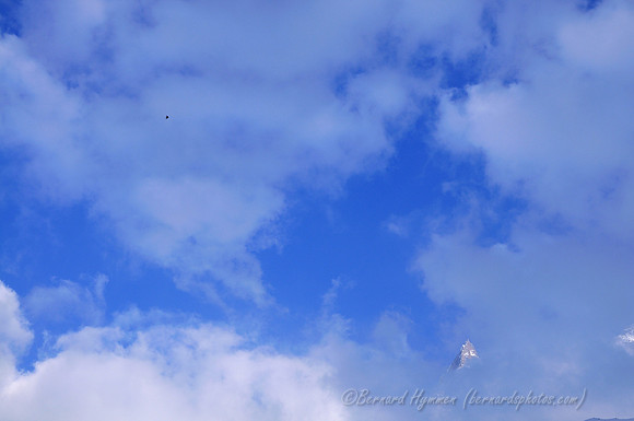 D300_84513