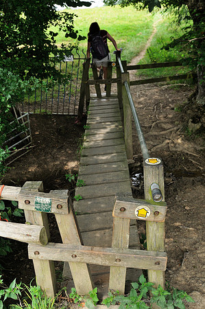 D300_99009