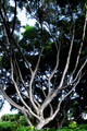 D300_57843