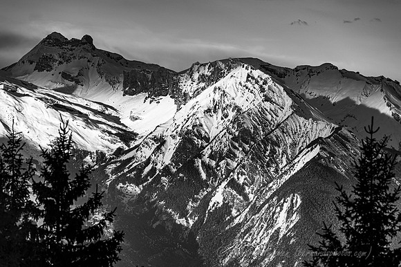 Z6_182174