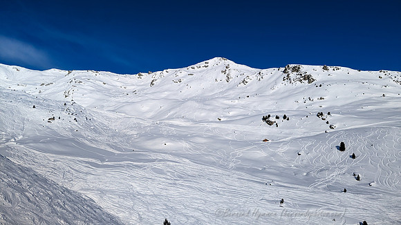 PXL_20230124_090217772