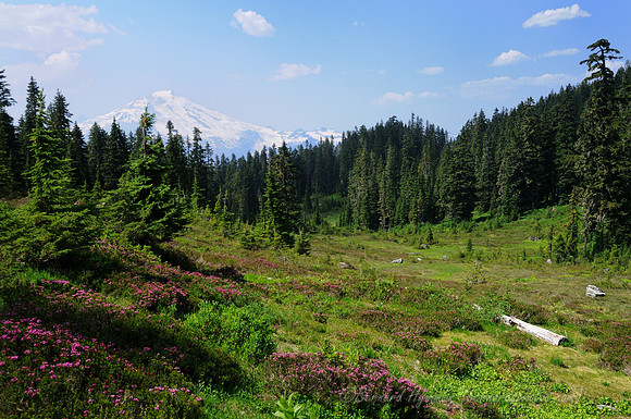 D300_143512