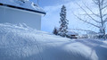 PXL_20260125_233123430.MP
