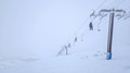 PXL_20260126_012642484