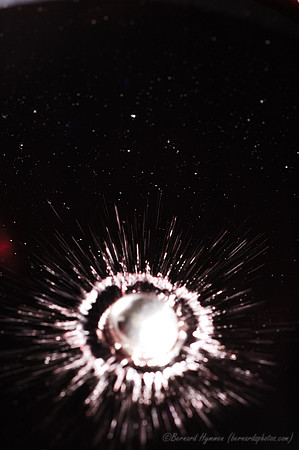 D70_20741