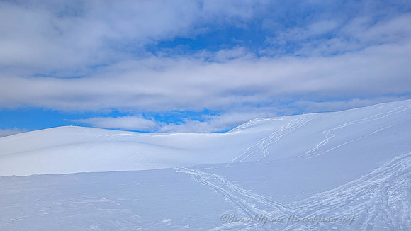 PXL_20260129_030918060