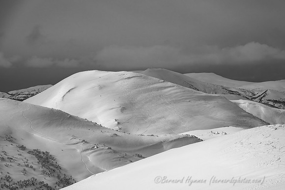 Z8_192458