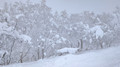 PXL_20260131_012508879
