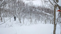 PXL_20260203_011303130.MP