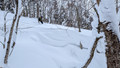 PXL_20260203_013726584