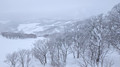 PXL_20260203_015157414.MP
