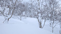 PXL_20260203_021214516.MP