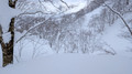 PXL_20260203_021220641.MP
