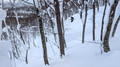 PXL_20260203_033736786.MP