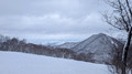 PXL_20260203_045432870.MP