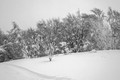 Z8_193210