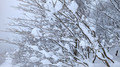 PXL_20260204_025649349