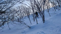 PXL_20260205_005757967.MP