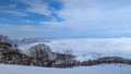 PXL_20260205_012934063