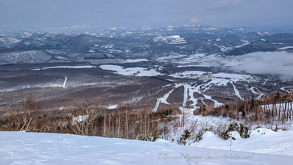 PXL_20260205_023614580