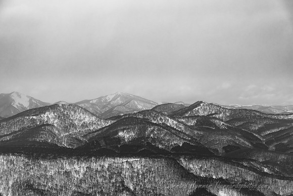 Z8_193279