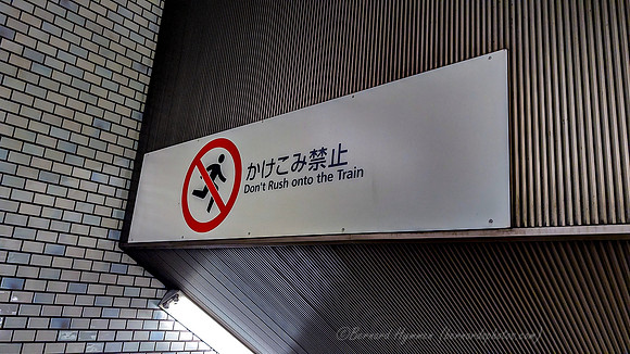 PXL_20260206_043302109