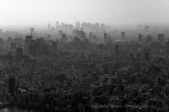 Z8_193331