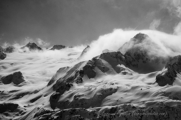 D300_84711