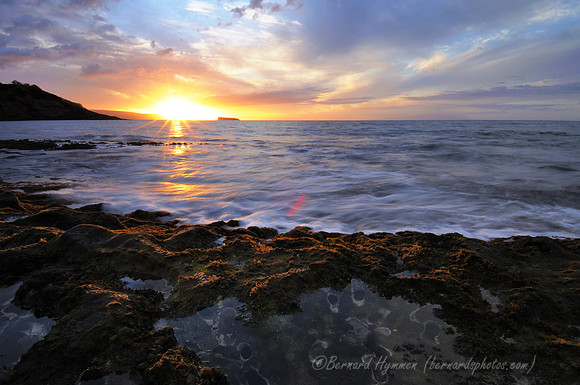 D300_58385
