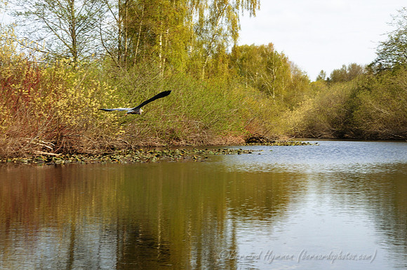 D300_71690