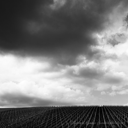 D300_63493