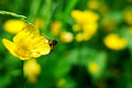 D300_55299
