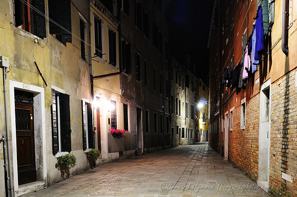 D300_45382.jpg