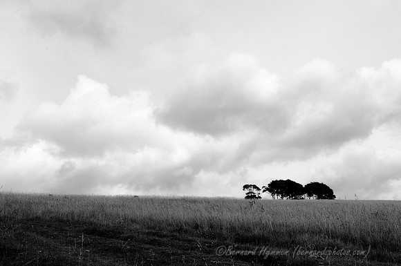 D300_99021