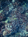 SD800_58122