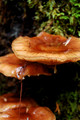 D70_076262004-10-09_01