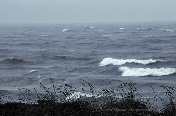 D300_89516