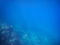 SD800_58105