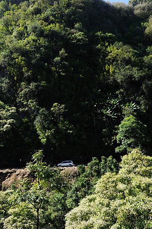 D300_58520