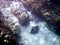 SD800_58577