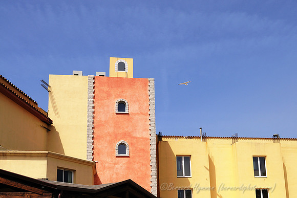 D300_46684.jpg