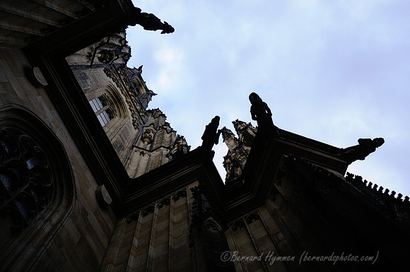 D300_74581