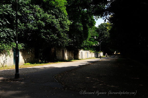 D300_100242