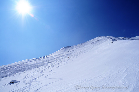 D300_70171