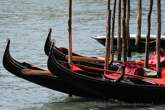 D300_45488.jpg