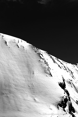 D300_85025