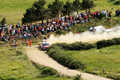 D300_46354.jpg