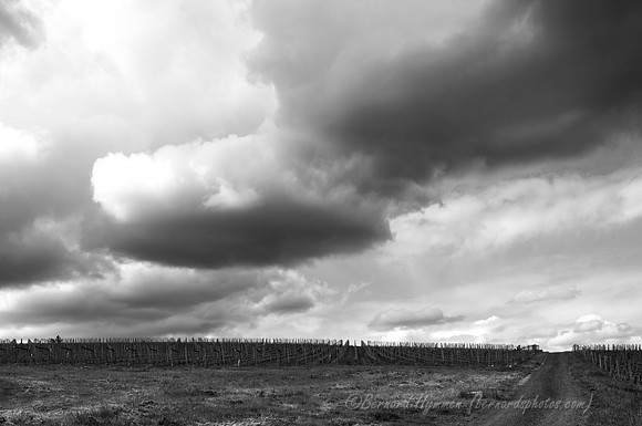D300_63478